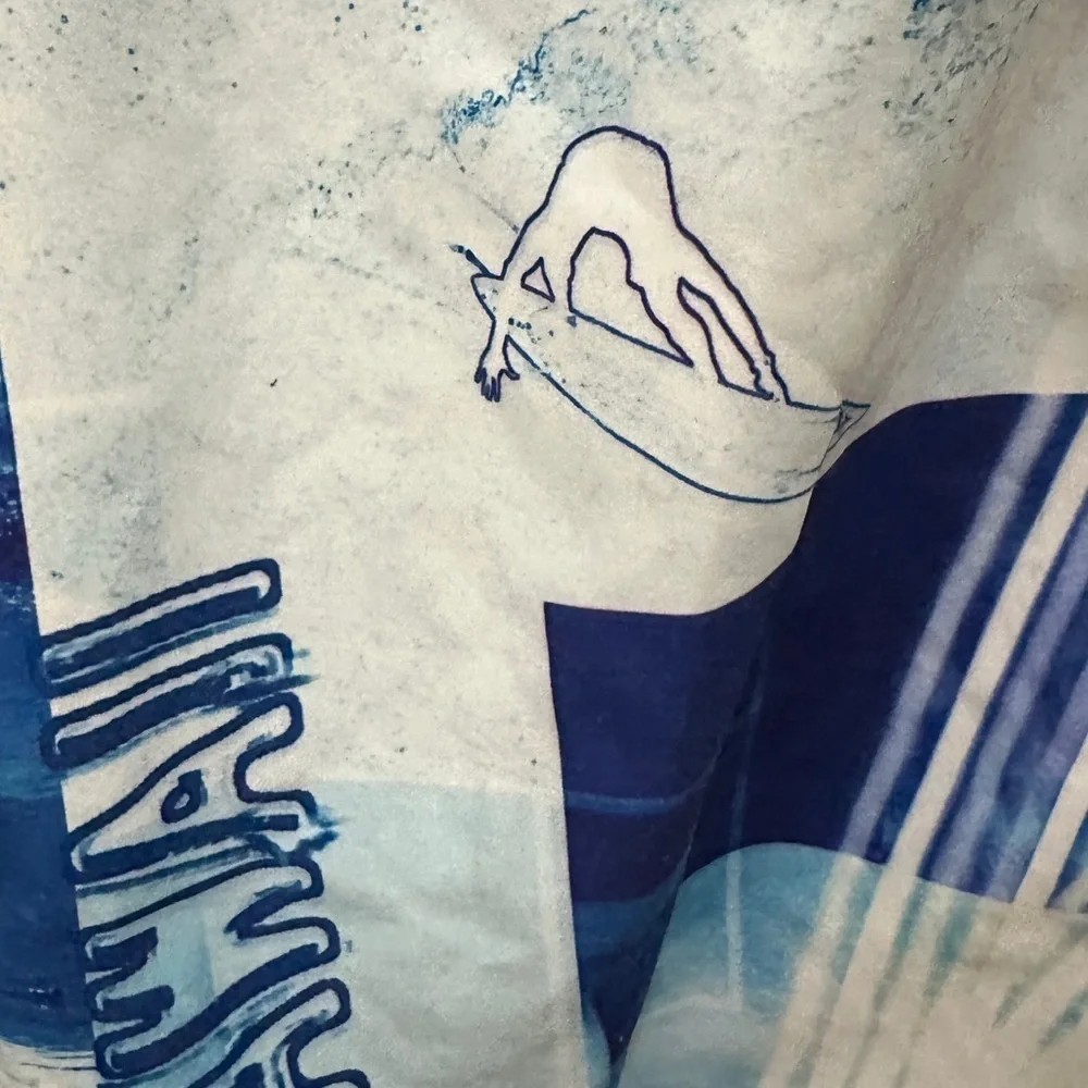 250 Hawaiian 581 | EUC Brazil Men’s Vintage Blue Surf Print Board Shorts (Sz 29)